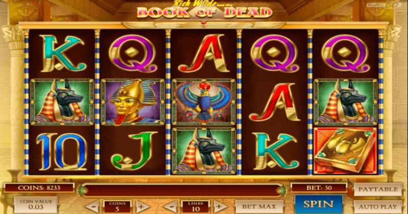 			Livro de Dead: Play'n Go Online Slot Machine picture 2