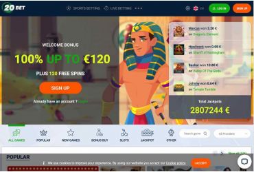 							20bet Casino Review													 picture 69